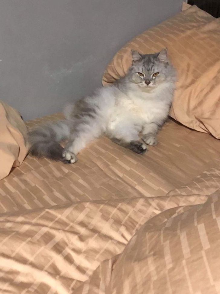 5b8f485f6cb25f2e59f3f92e25