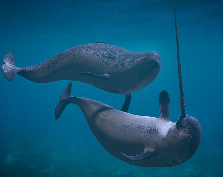 5b8fef55e4b22eb9b2f01f2b16