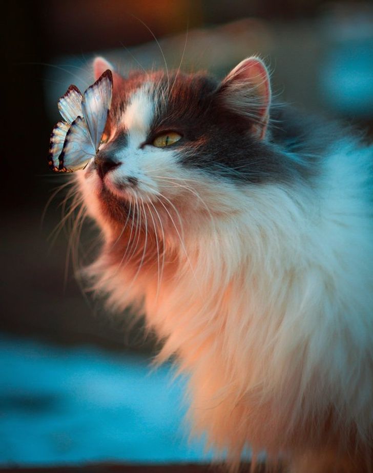 5b94365d3ea263e08db2f535b5