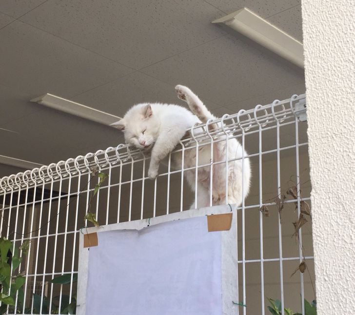 5b94cd5e7d84891624709c511e