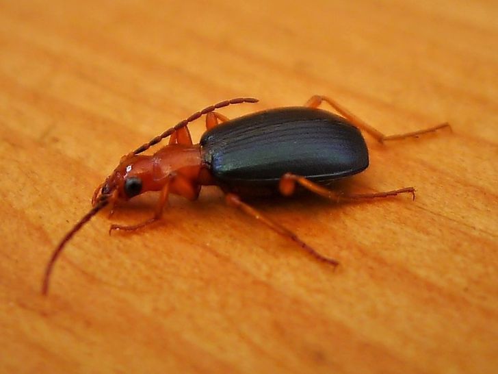 5b98f55b168e6fda1d12f3681a