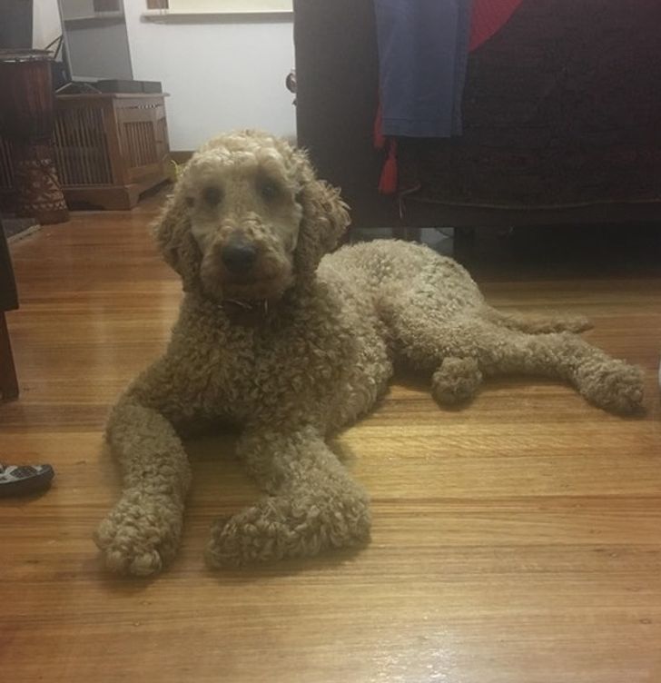 5b9c635dd9bab1e530e992c5c1