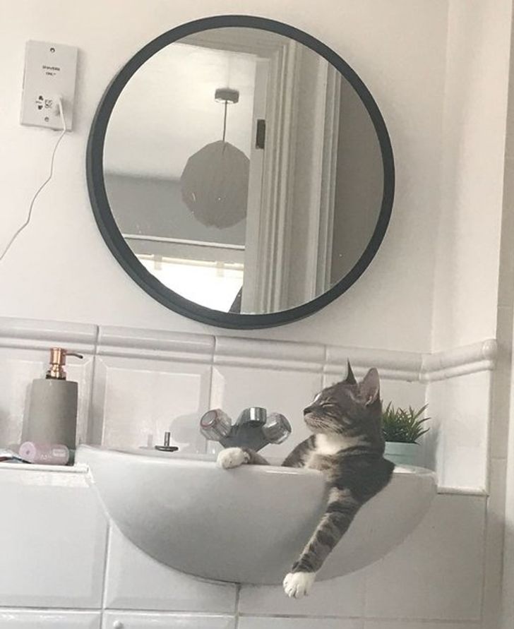 5b9c99560f887a5a8028613dd6