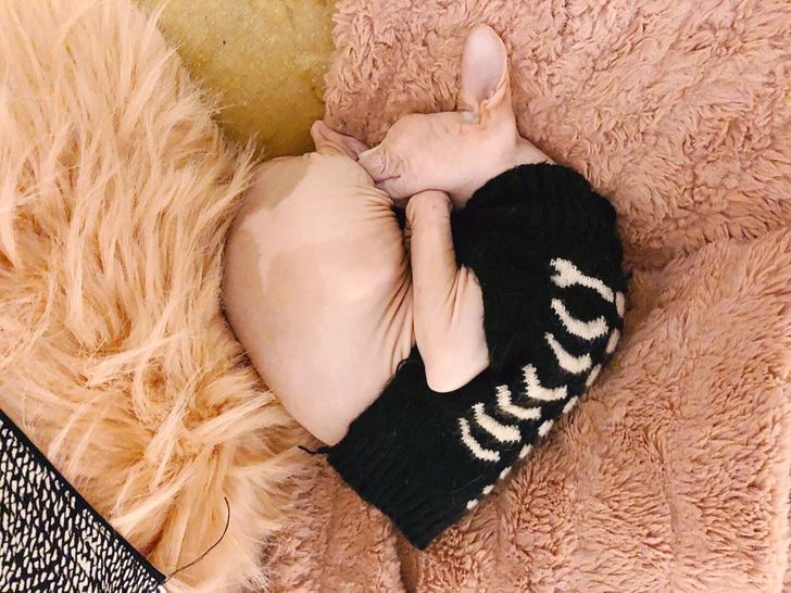 5ba1bb55918e7649f6bf1a2f4d