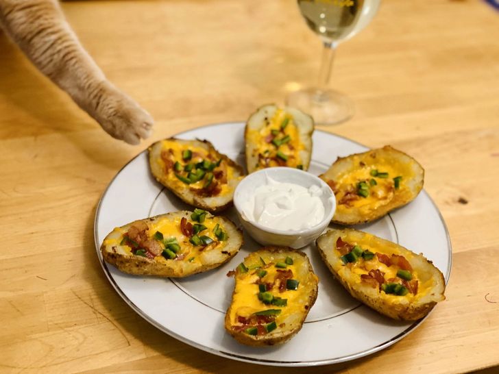 5ba3645c8ca5c22005bee7c41c