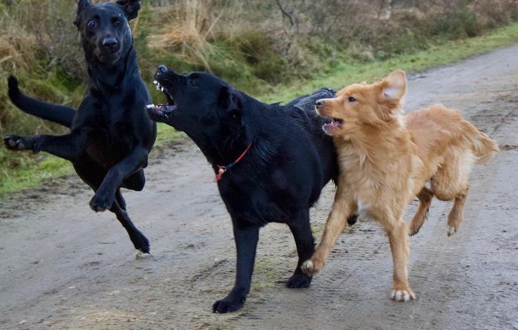 5ba72d5e0eb1984a07fc1e1072