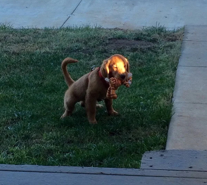 5bac325f9492fa72f15bfb2e1b 5bac325f9492fa72f15bfb2e1b