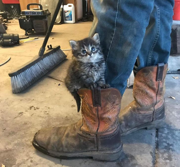 5bb1115b8aa2afa858392dd03f