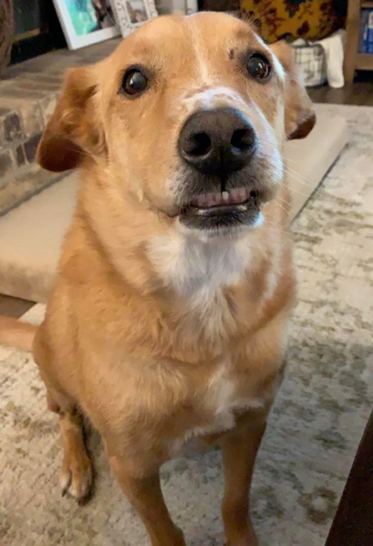 5bbc3056ff90e03d4f0a53c4c1