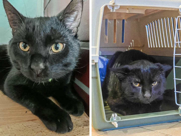 5bc127514d91df10836123ce9a 5bc127514d91df10836123ce9a