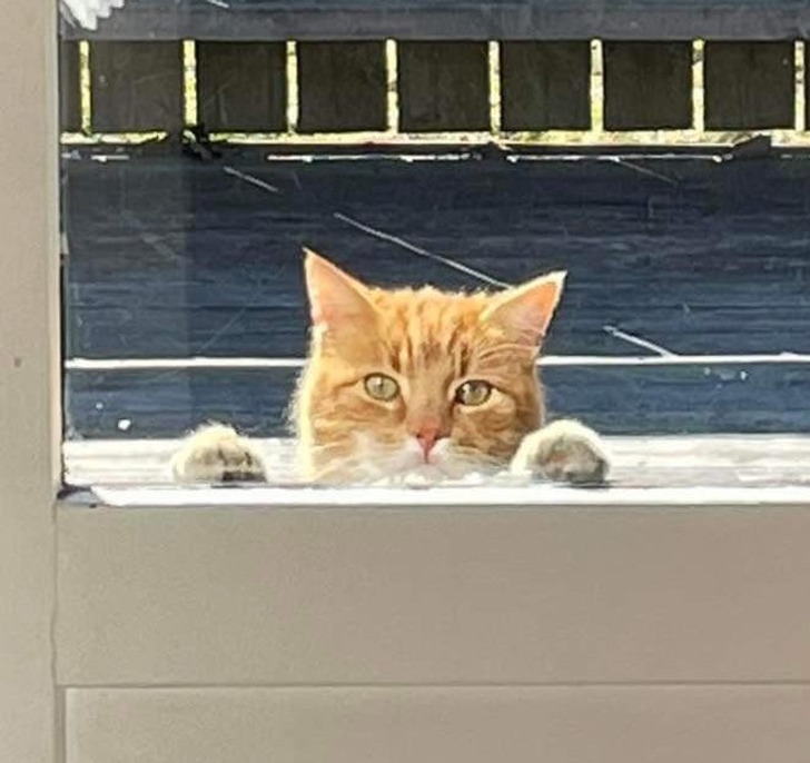 5bcceb53a8a1dec9909f0e8436