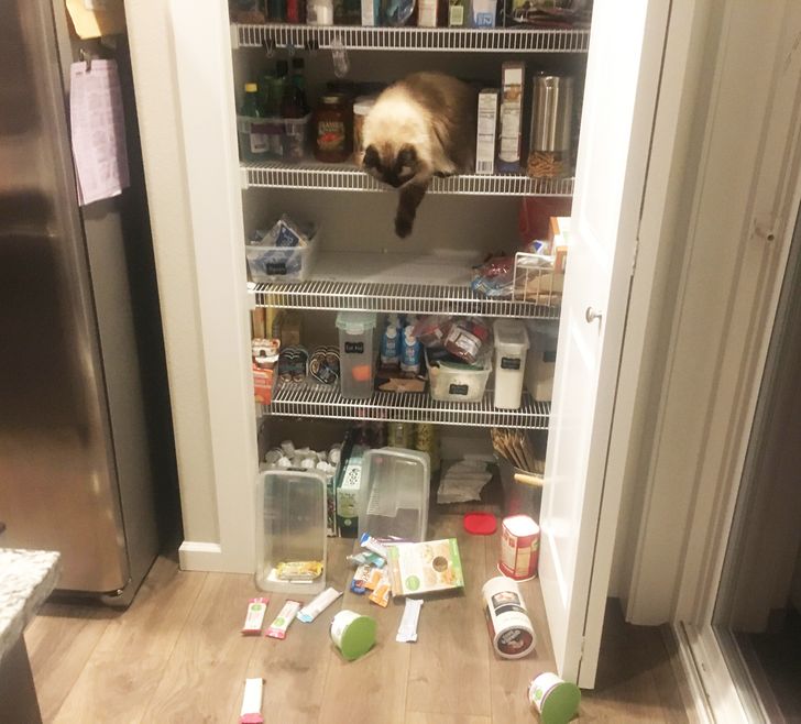 5bd1725c319345c0abad79061b