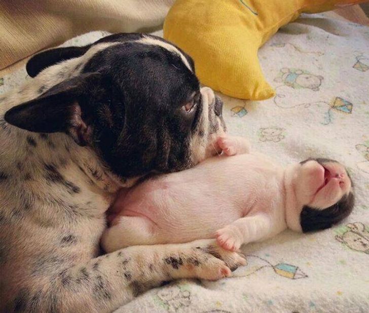 5bd89456409c357996bfe60a5d