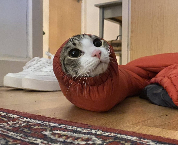 5be1b15eb6b052b91b6486bd85