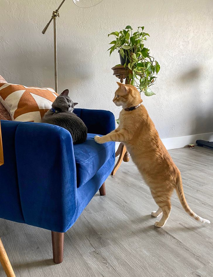 5be3d751a38d776f15c2d87873 5be3d751a38d776f15c2d87873