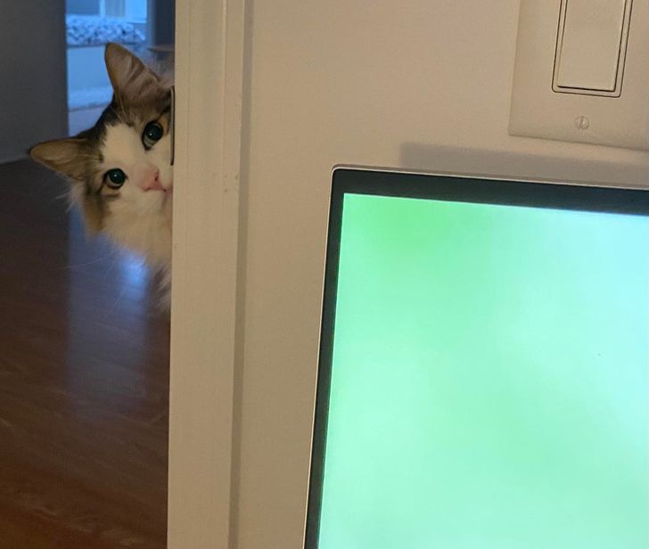 5be5c95c1fbcc762692d3ca0da