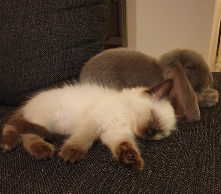 5beb4b5612a3dca10b945f0e3d