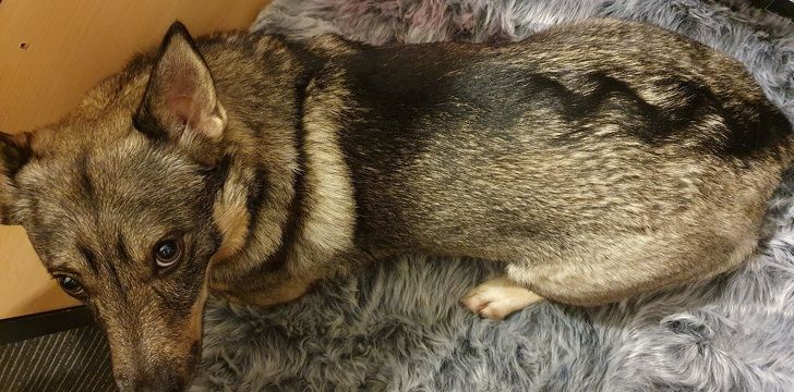 5bf13f5222b709c5767ed58947