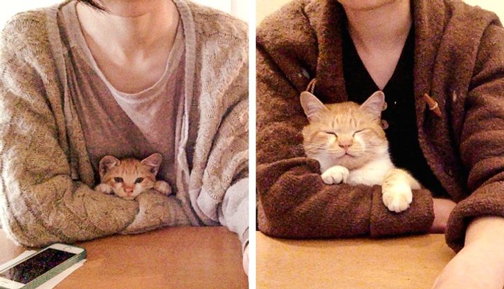 5bf1a25ee2837f899e43c2d6ae