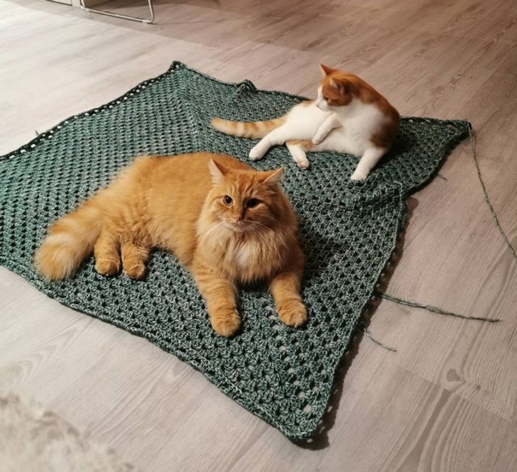 5bf2f4505084908d08fd731d5a