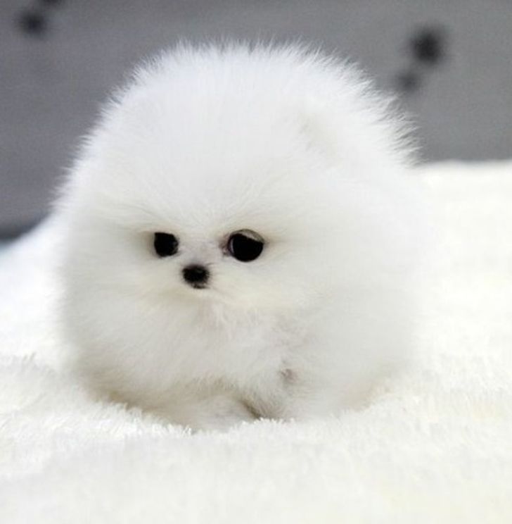 5bf6565e18bac01a2fc48687af