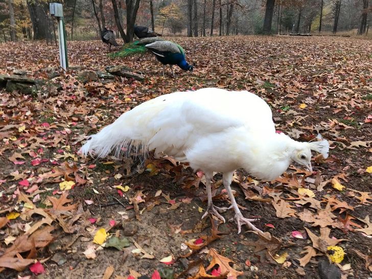 5bf774562fada7cb15ebd037f5