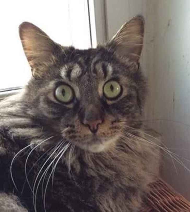 5c01875ee1a8c22815a4459151