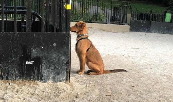 5c099458d5912b00623b9e8432