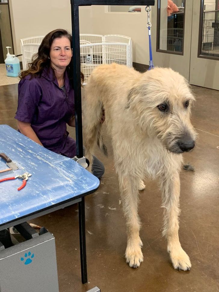 5c10395e16a3206208d0ab47a0