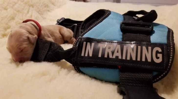 5c200f58b699215b66e0b1cd08