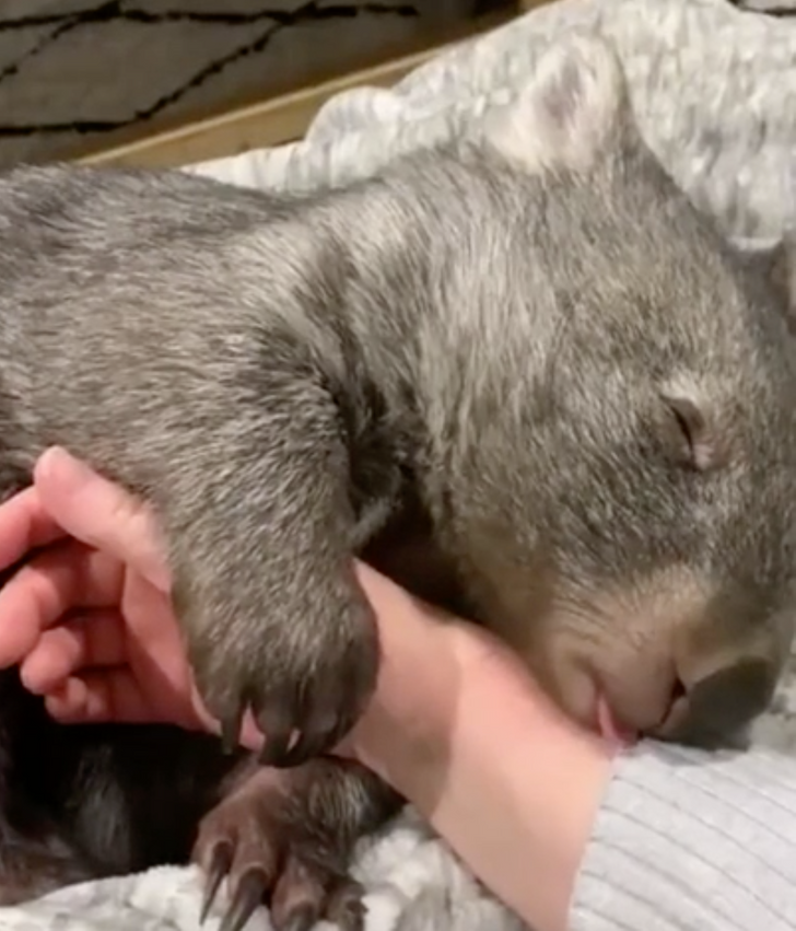 5c23fb5b3d940289572730d432