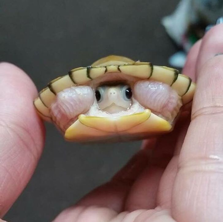 5c26bd5b0ba0c1b947504dcb41