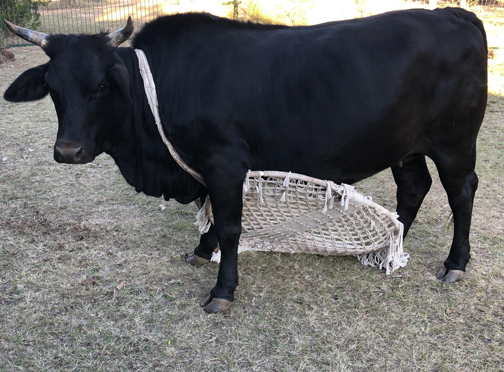 5c2ea758a8a032a0f6920849db