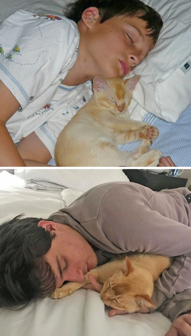 5c2f6d5aceb9d0de5d234881a2