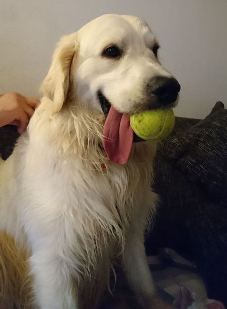 5c30f45f38bb8d60fc08f06a6a