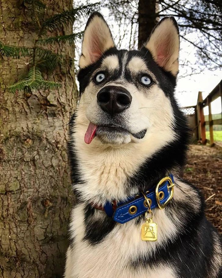 5c3ed558bc85cc6d82ca866d92