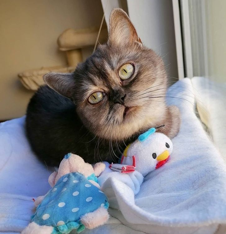 5c42a651d2b55e4149d69fb217