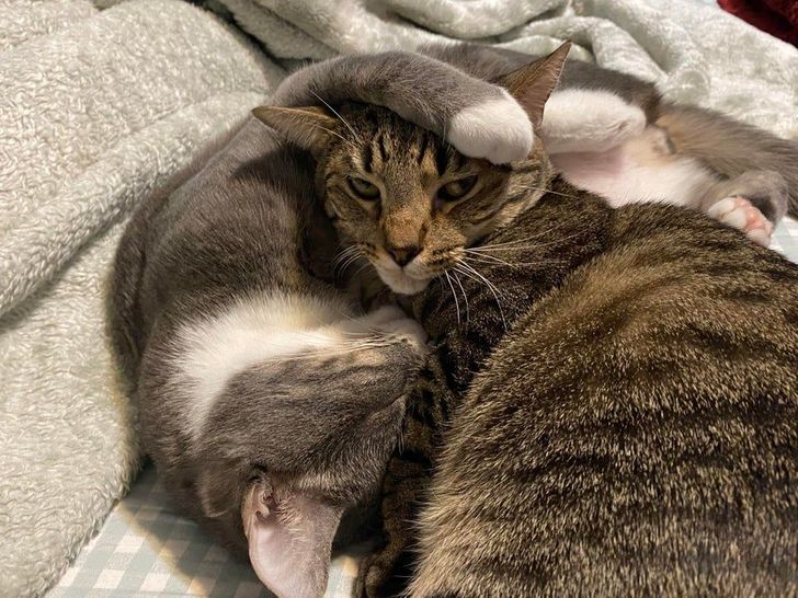 5c48d354b08360132135238672