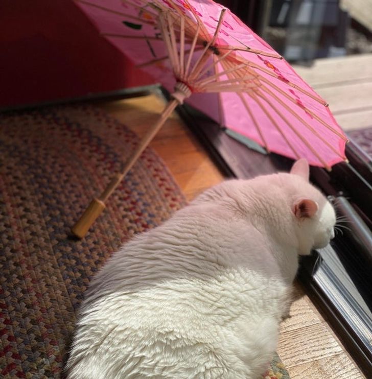 5c4e08585fa399c353f66dcf6a