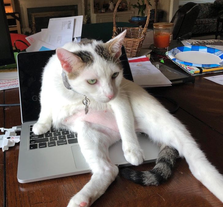 5c57305f418c70231617fa372e