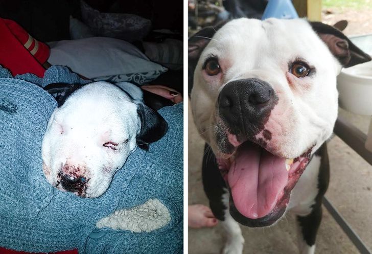 5c58bf5838861bc8dc136b2454