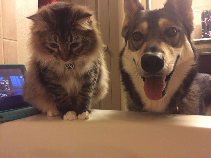 5c5b495961b6b3f38135a3a031