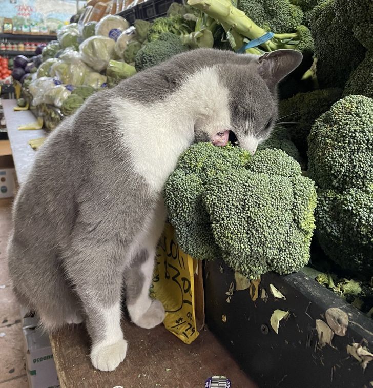 5c5fbb584ab46baa7c295b147e