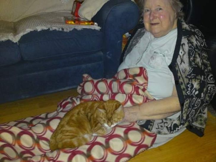 5c60815e8aa2354838bd0064f6