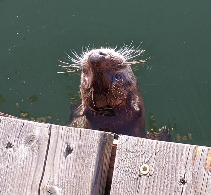 5c60c65076af94c4246a64349f 5c60c65076af94c4246a64349f