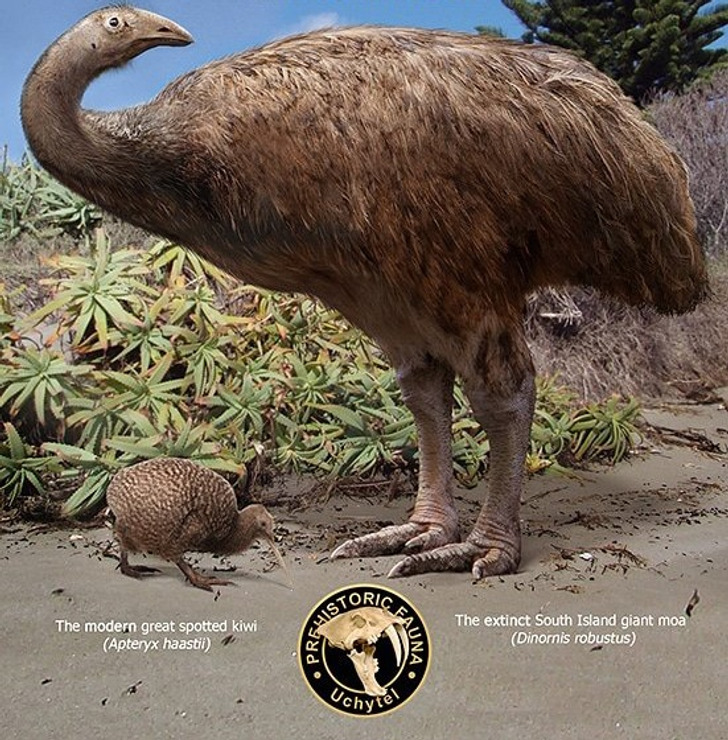 5c61785e7987474eb9fc53966c