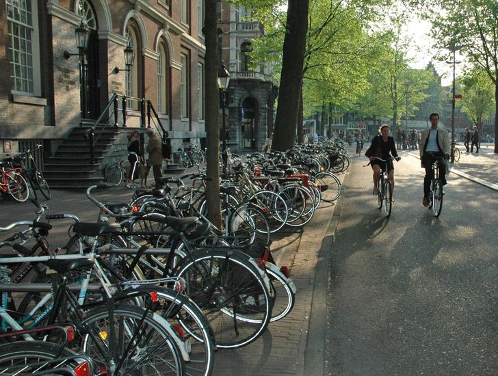 5c63e056acba58a262a9f877c1