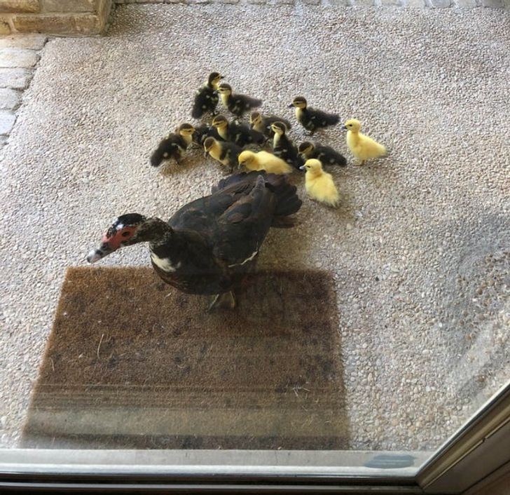 5c6b185613863c882af754ef27