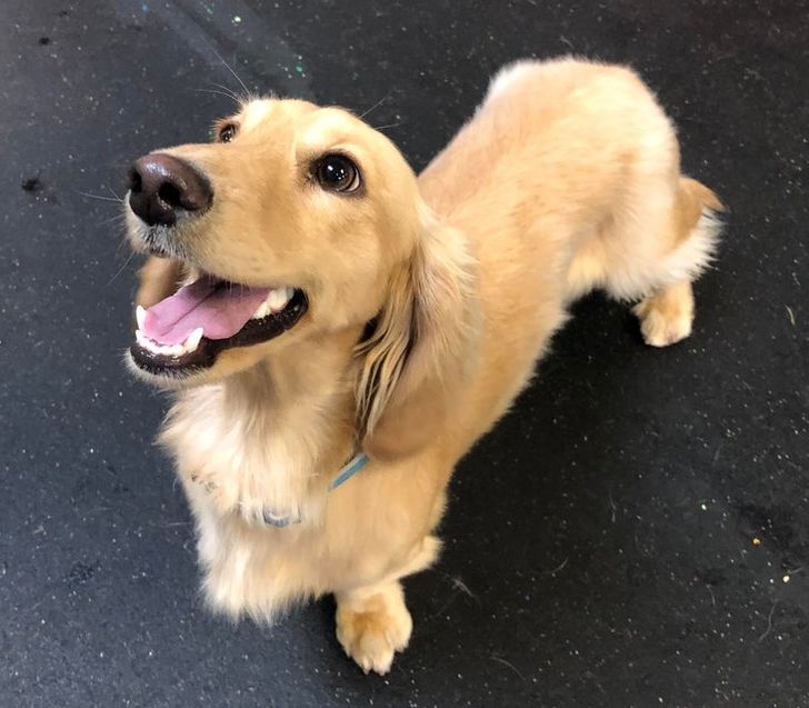 5c730b54d597f0beb7f0d0a8a6