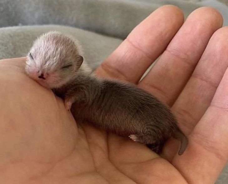 5c76fc52d3913df2ddbad5b778